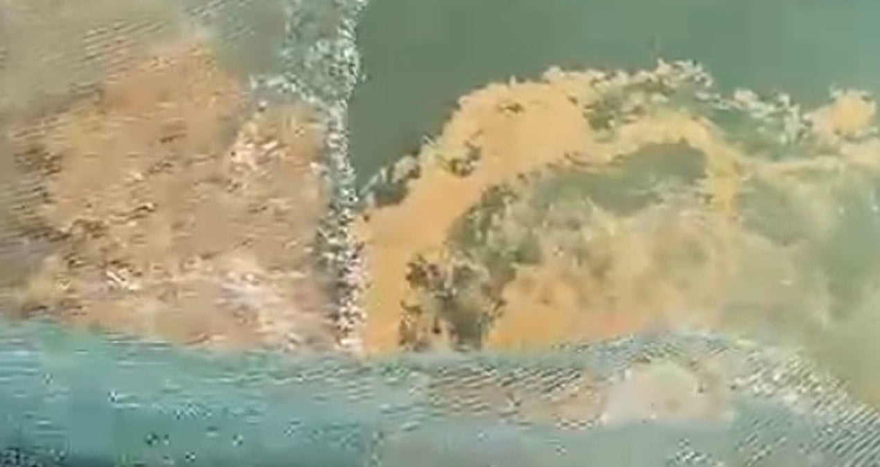 1 Eylül’de yasak kalktı, balıkçılar bu görüntüyle karşılaştı: