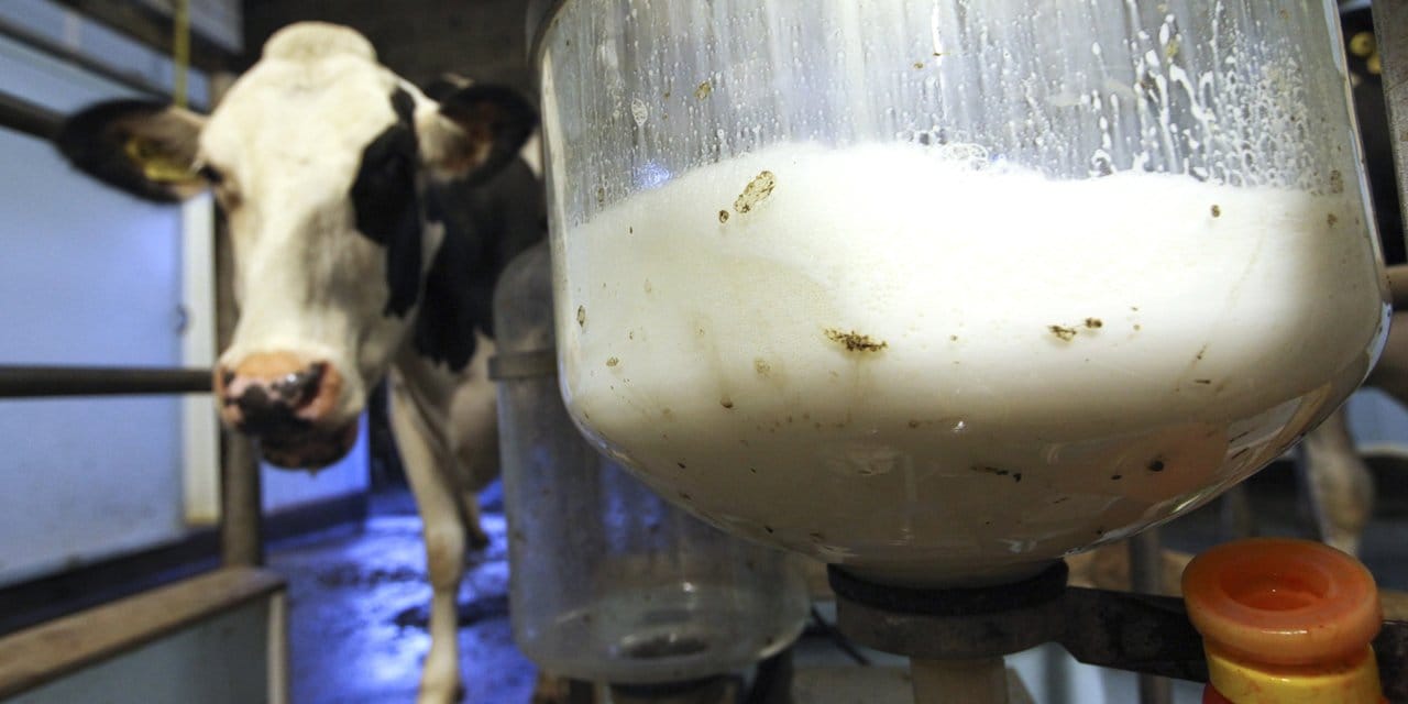 Çiğ süt fiyatlarına zam geldi! İki ay sonra yeniden artabilir