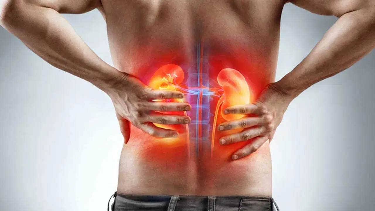 Üroloji uzmanı uyardı: ’45 yaş üstüne prostat ve böbrek muayenesi şart’