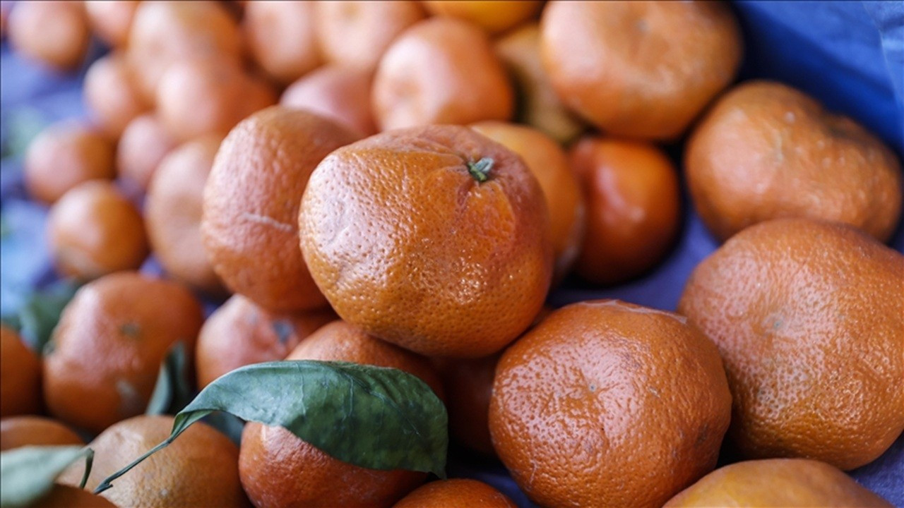 Mandalina ihracatında güçlü artış: 10 ayda 375 milyon dolar