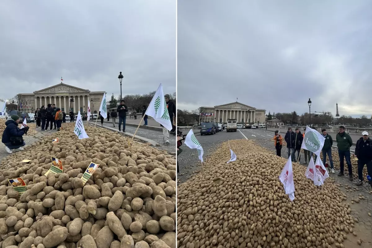 Fransa’da çiftçilerden sert protesto: Meclisin önüne 30 ton patates döktüler