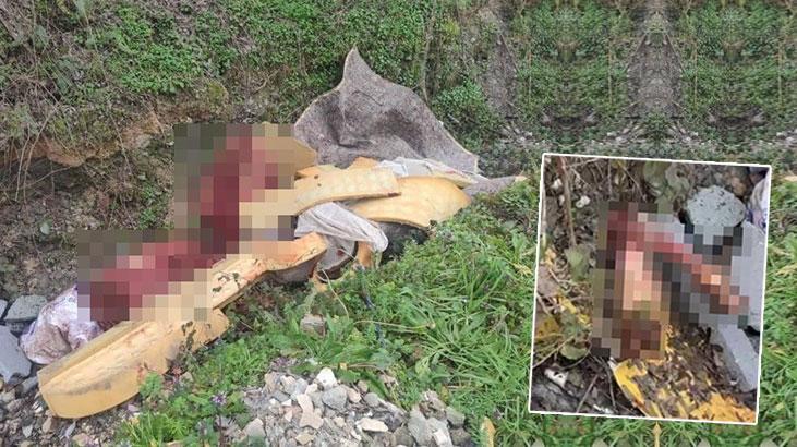 Otoyolda bulunan kemiklerin izi sürüldü, 'pes' dedirten gerçek ortaya çıktı