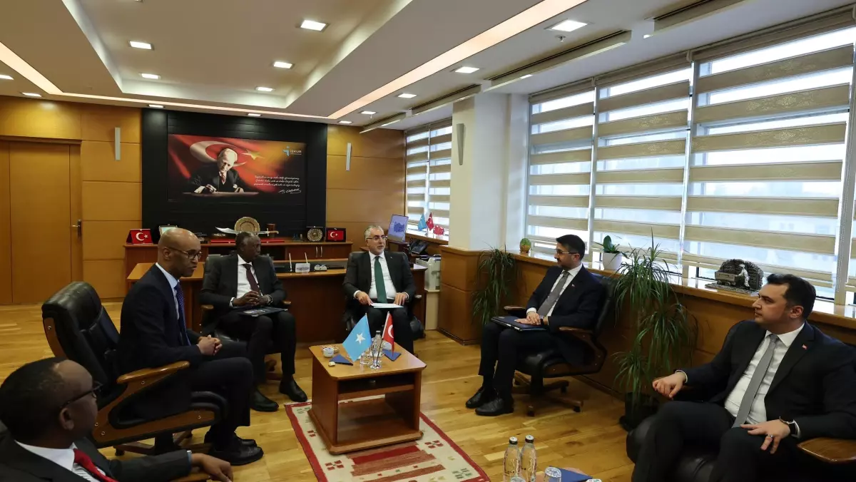 Türkiye ve Somali Arasında İş Birliği