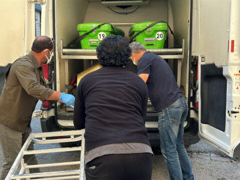 Kene bir can daha aldi yasli kadin hastanede can verdi JTHOR8SS